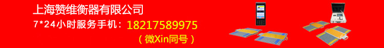 電子汽車衡|電子台秤|電子秤（chèng）|電子吊秤|電子天平|電子地磅|稱量儀器